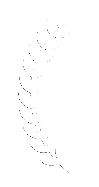 Left laurel